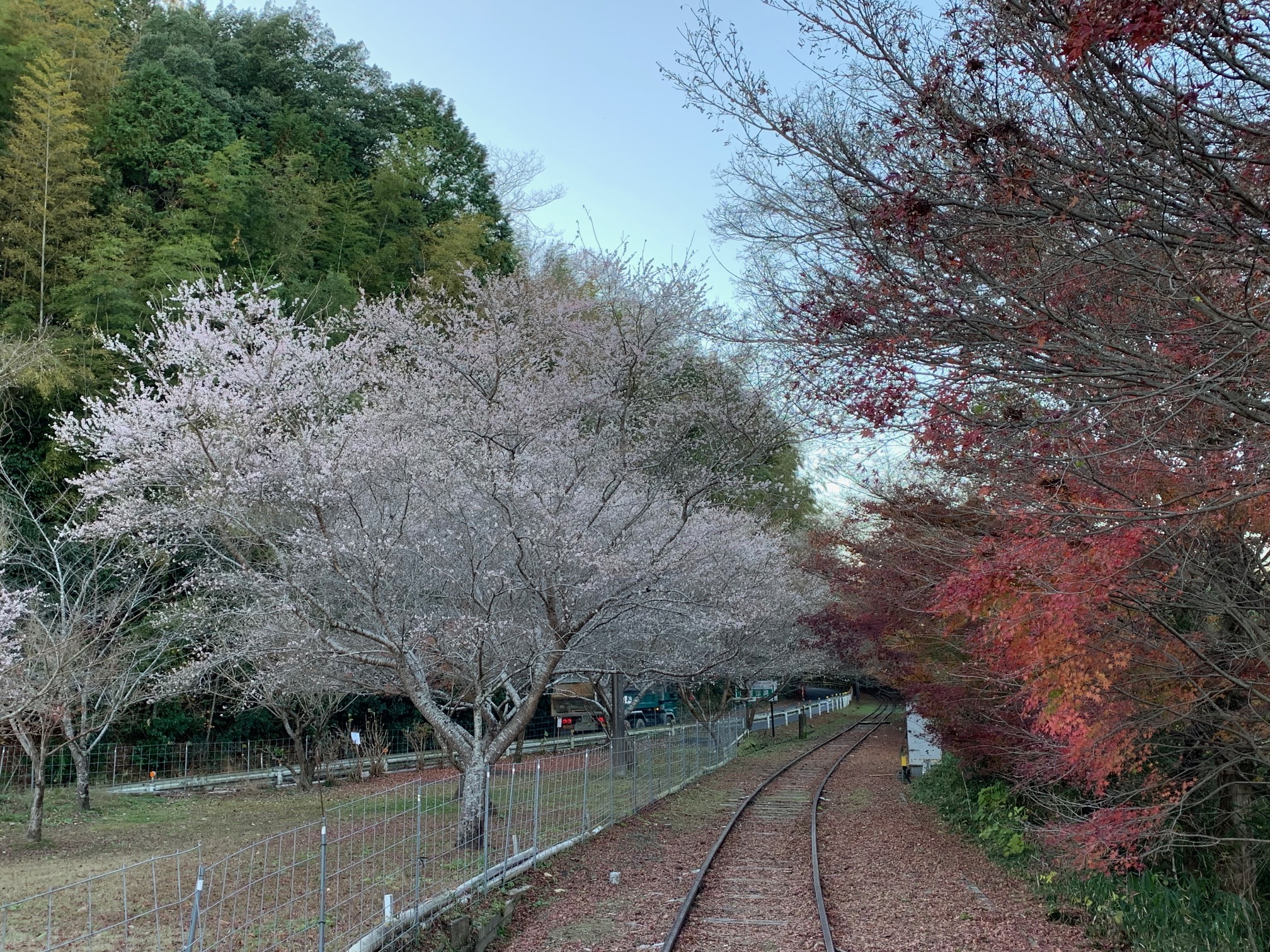 いい感じの平屋の家ができました